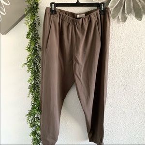 Aritzia Babaton Dexter pants